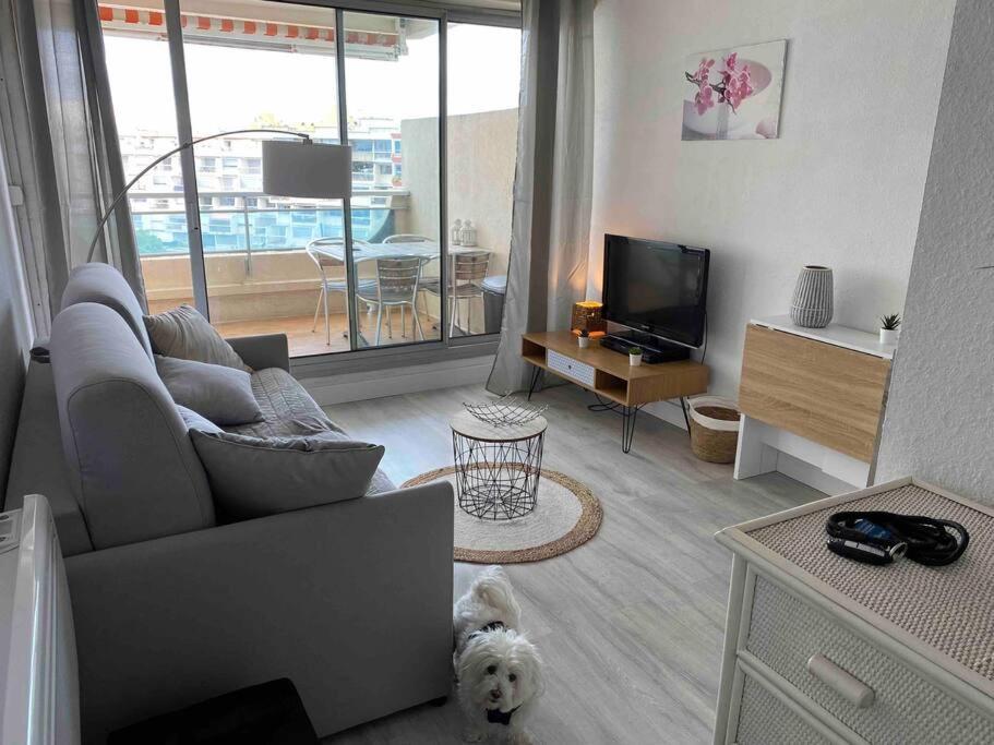 Joli Studio Vue Mer Et Port Mauguio Bagian luar foto